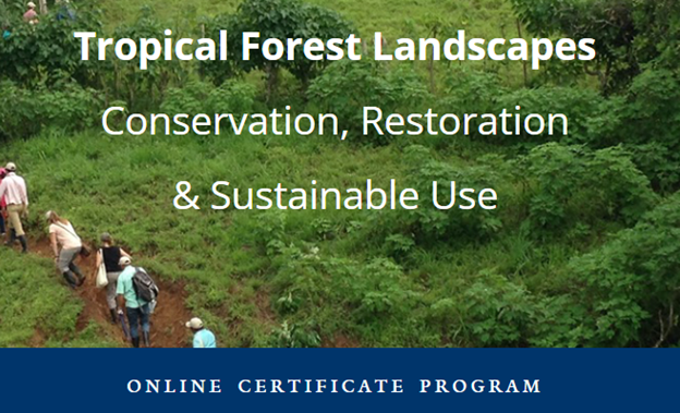 Applications Open for Tropical Forest Landscape: Conservation ...