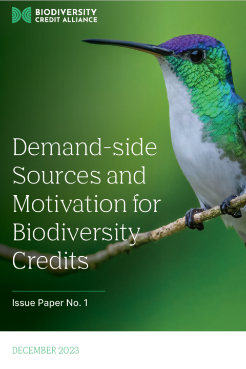 Demand-side Sources and Motivation for Biodiversity Credit