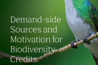 Demand-side Sources and Motivation for Biodiversity Credit